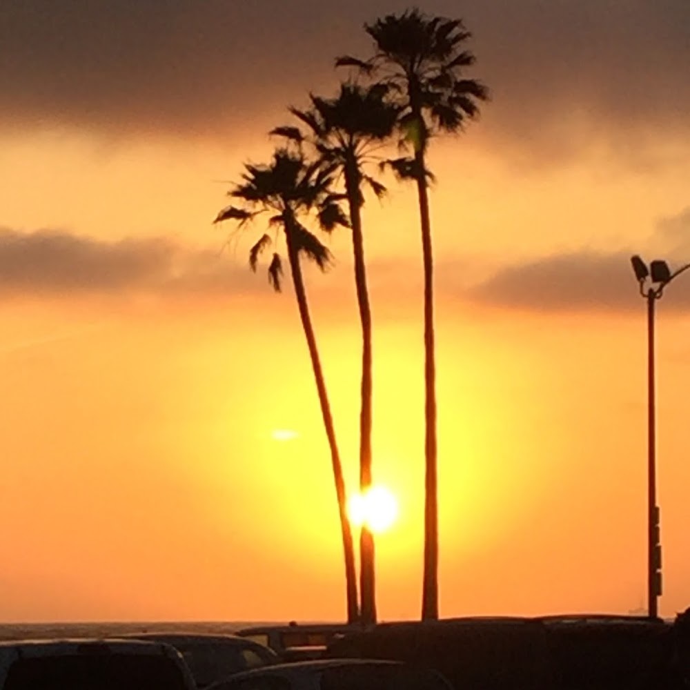 Meet your Posher, Martha_